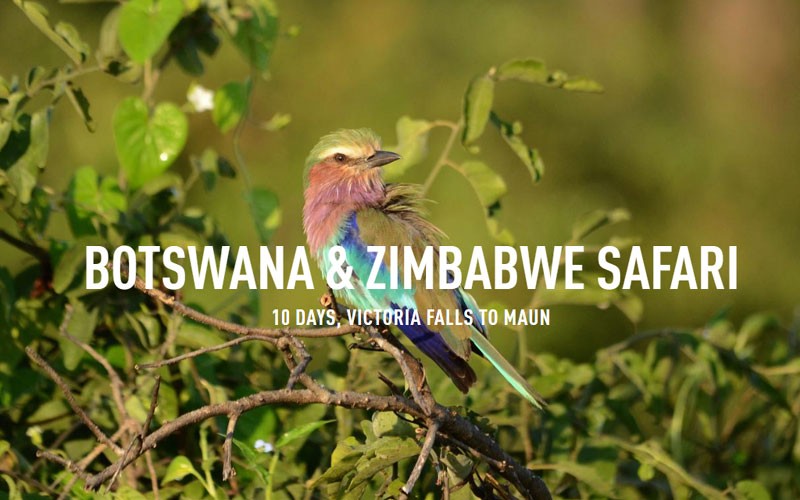 10 Days Botswana & Zimbabwe Safari In Zimbabwe, Africa
