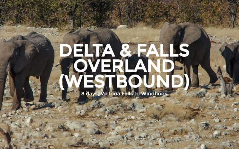 8 Days Delta & Falls Overland (Westbound) In Botswana, Africa