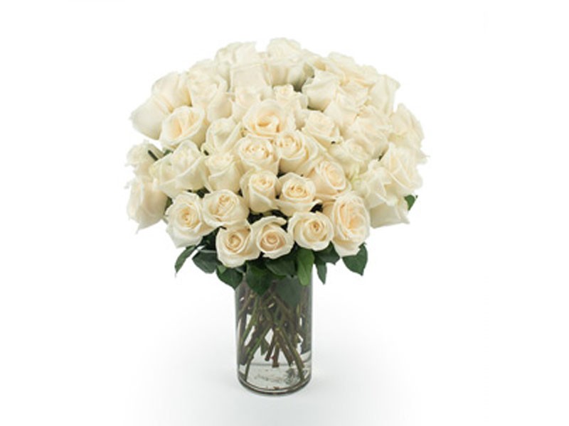 50 Long Stem White Roses Gift