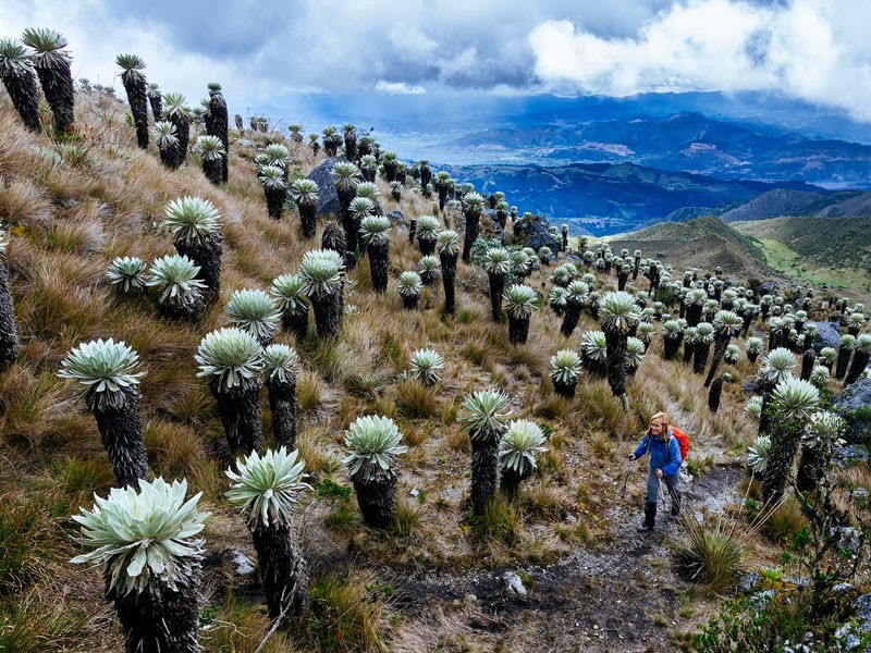 11 days Bogotá to Cartagena Tour Package