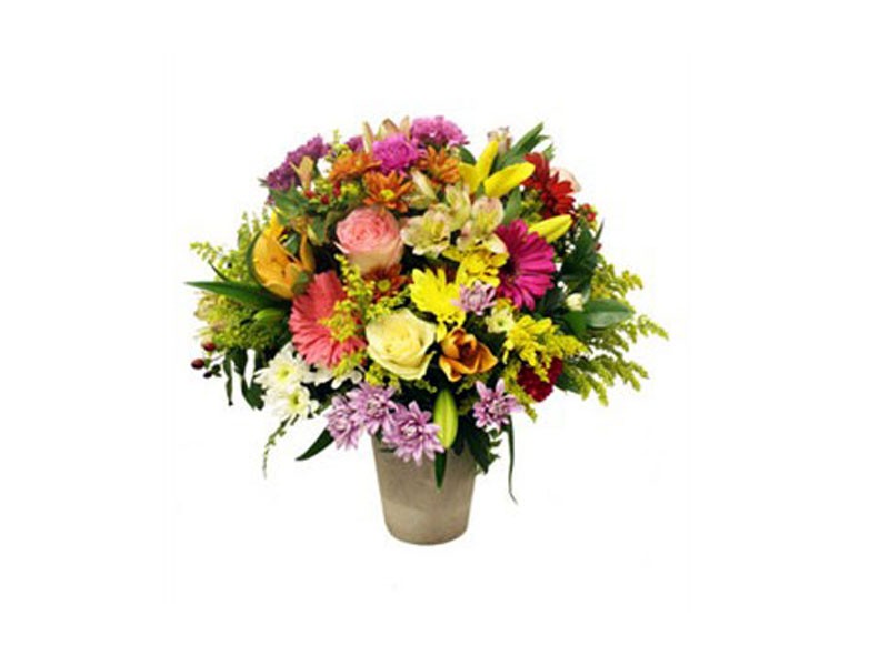 Colourful Abundance