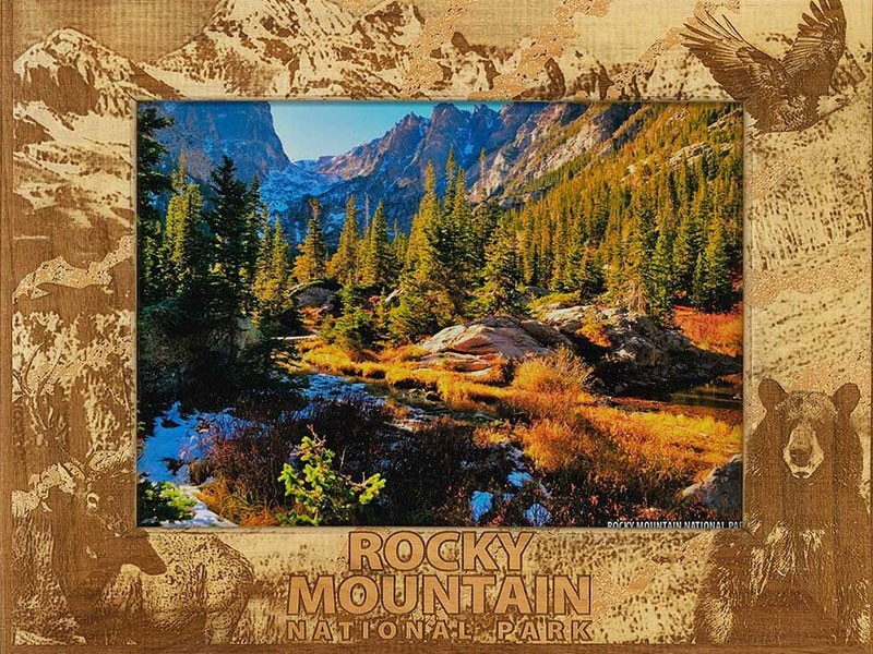 Rocky Mountain National Park Rustic Wildlife Collage