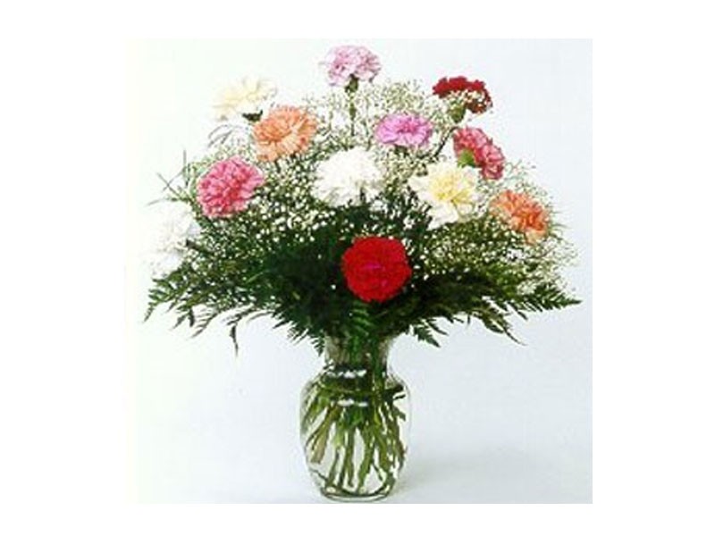 A Stunning Carnations Vase