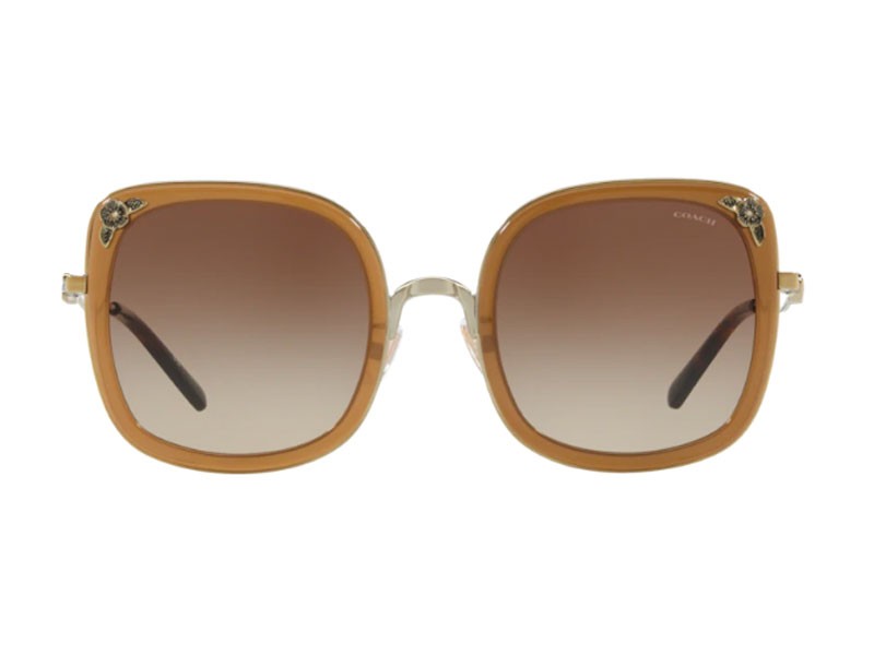 Coach Sunglasses For Women