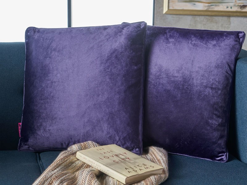 Velvin New Velvet Throw Pillow Set of 2