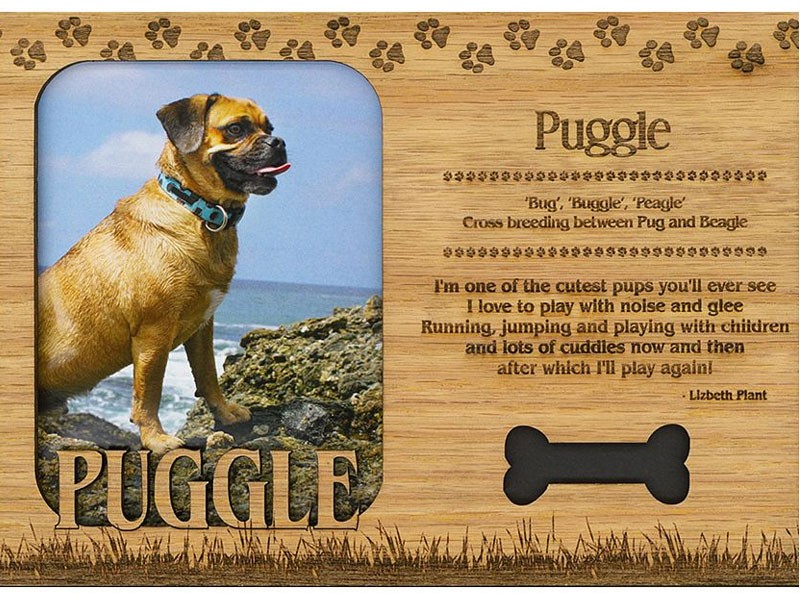 Puggle Dog Frame
