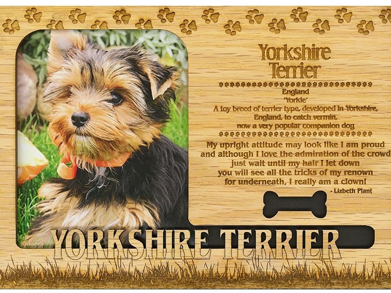 Yorkshire Terrier Photo Frame