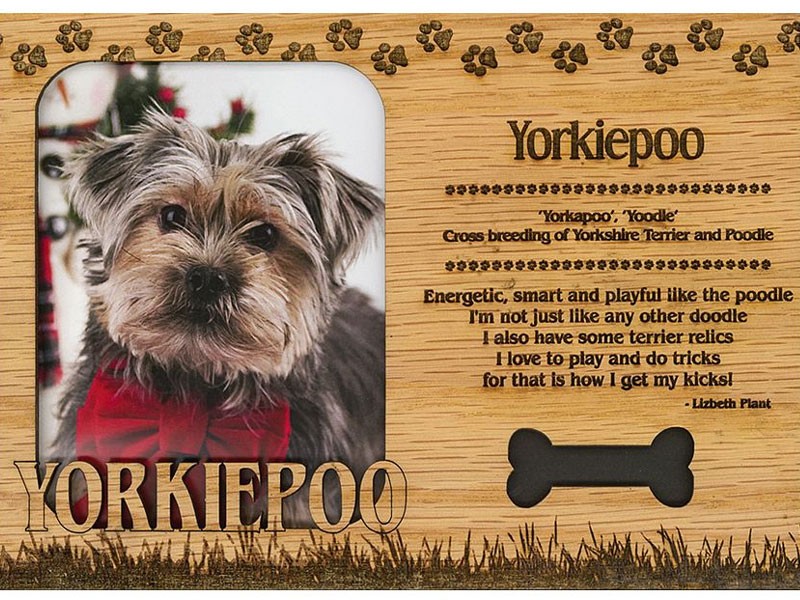 Yorkiepoo Photo Frame