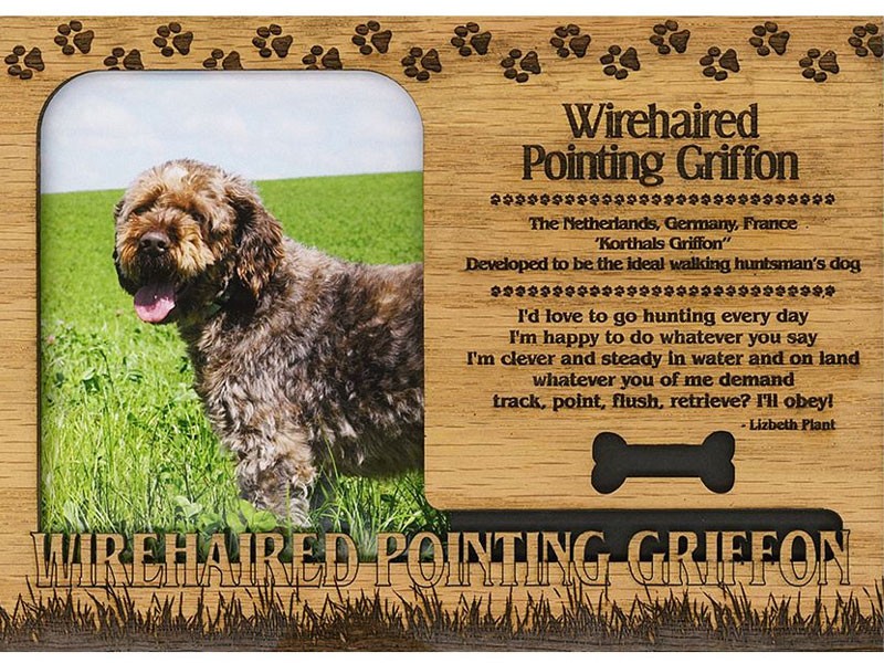 Wirehaired Pointing Griffon Photo Frame