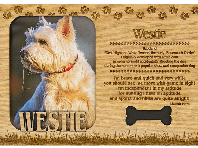 Westie Frame