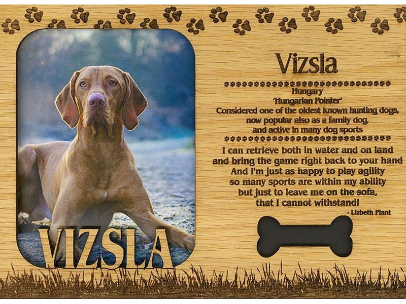 Vizsla Frame