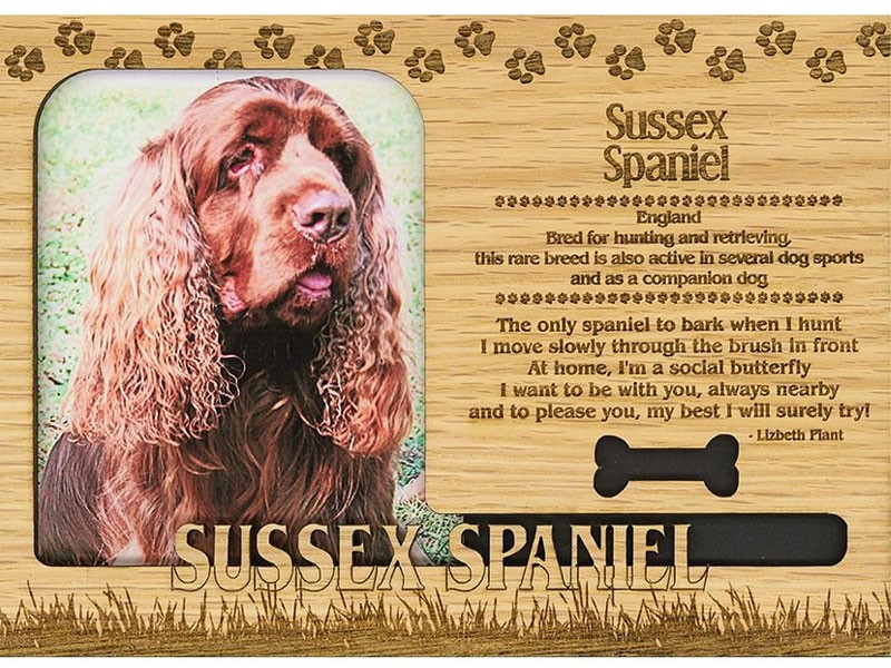 Sussex Spaniel Frame