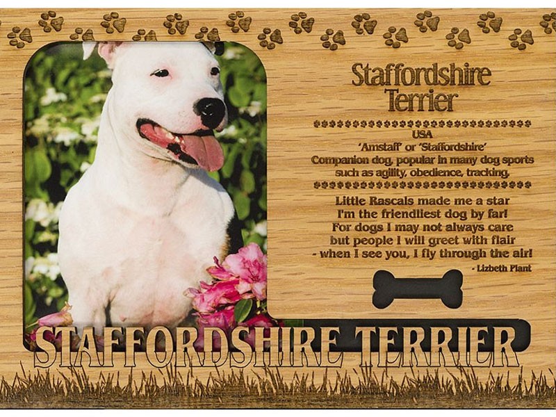 Staffordshire Terrier Frame