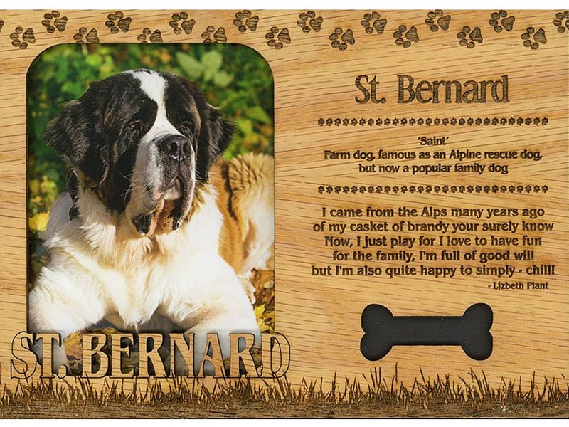 St. Bernard Frame