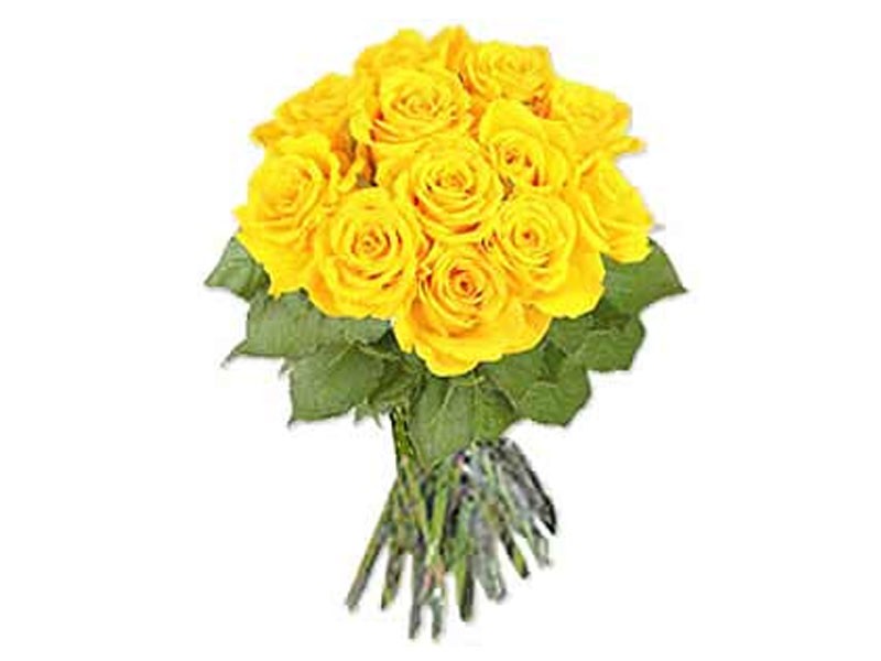 One Dozen Yellow Roses