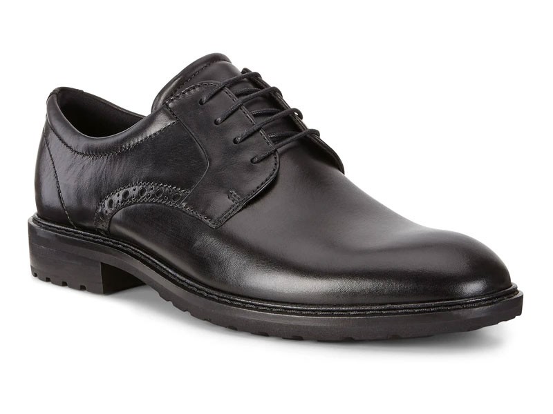 Men's Casual Shoe Ecco Vitrus I Plain Toe Tie