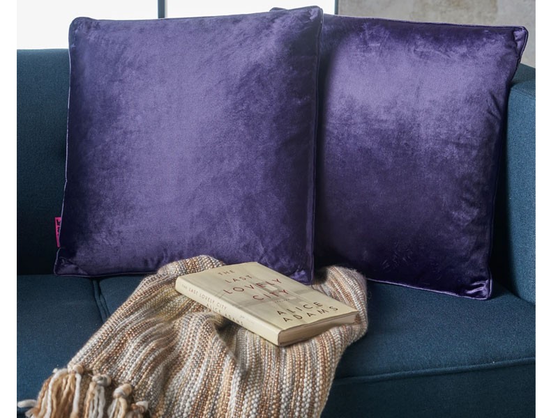 Velvin New Velvet Throw Pillow Set of 2