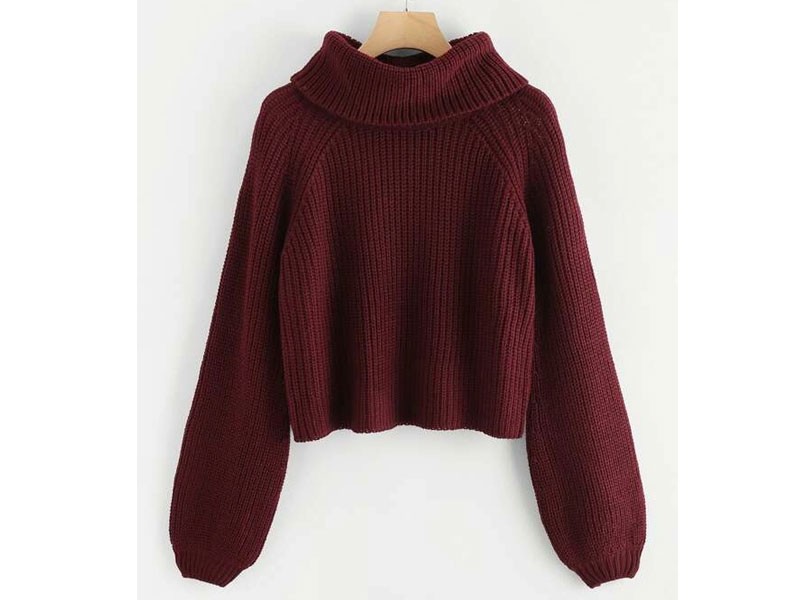 Shein Rolled Neck Bishop Raglan Sleeve Sweater For Women