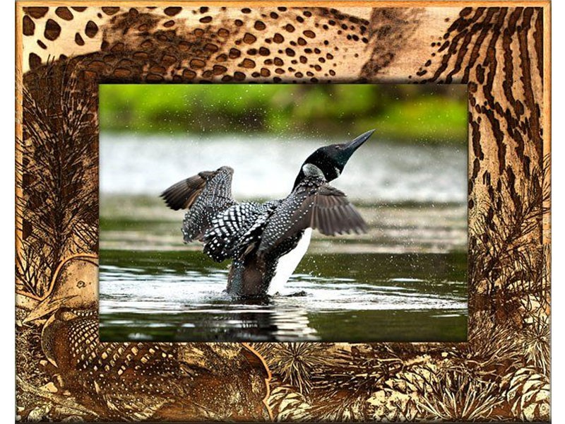 Loon Border Photo Frame