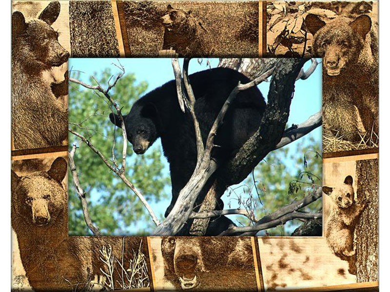 Black Bear Picture Frame