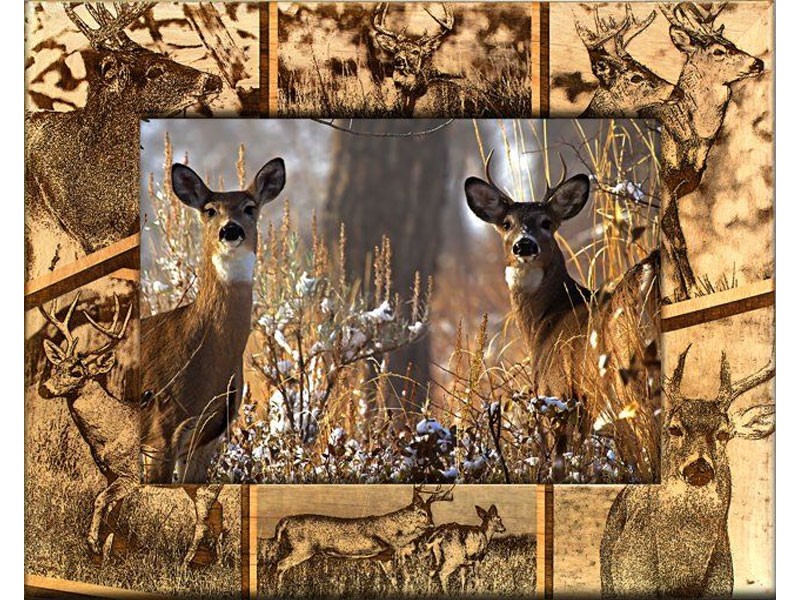 Whitetail Deer Hunting Frame