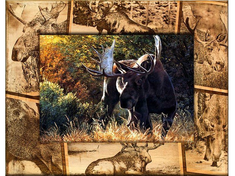 Moose Hunting Frame
