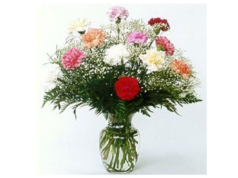 A Stunning Carnations Vase