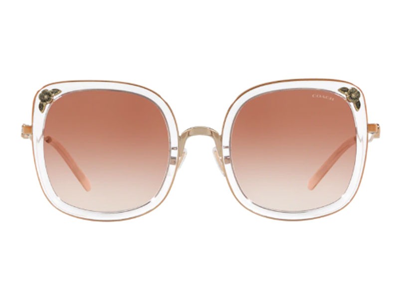 Coach Sunglasses For Women