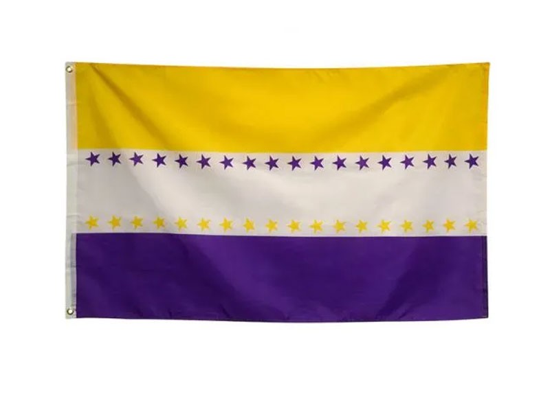 3' x 5' 19th Amendment Flag