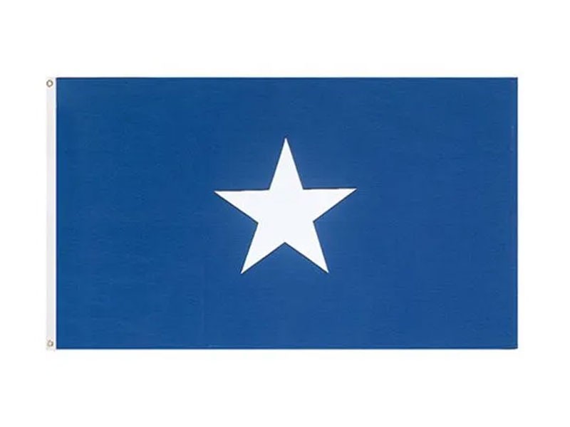 Bonnie Blue Flag