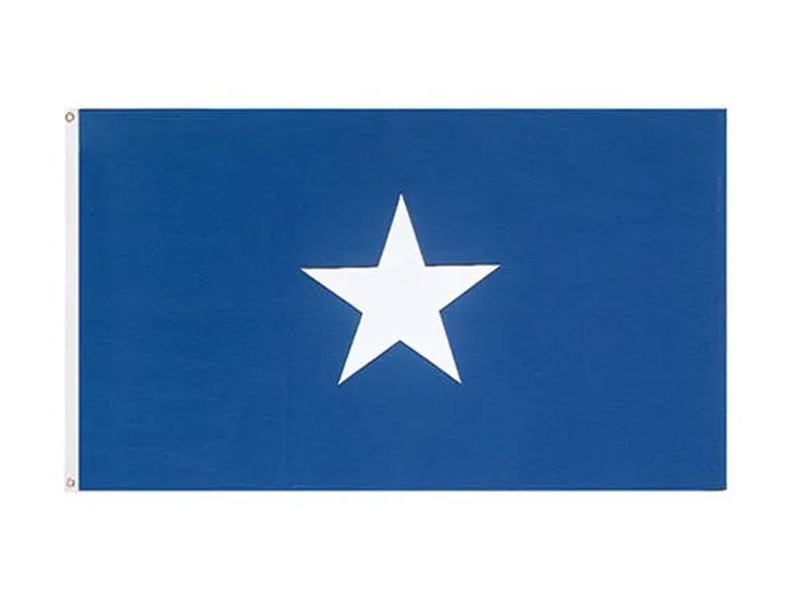 Bonnie Blue Flag