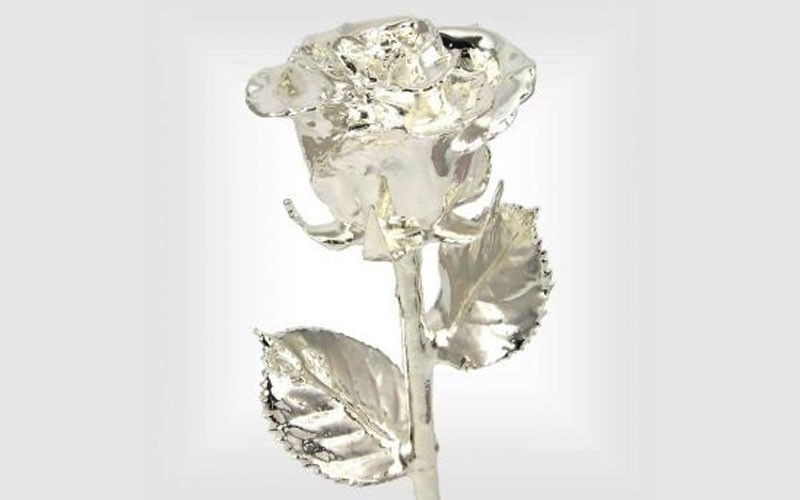 11-Inch Silver Dipped Rose