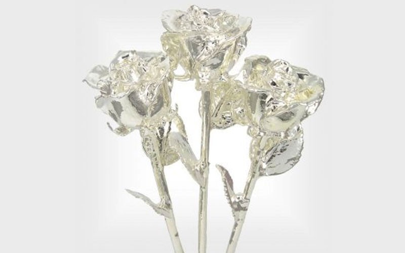 3 Past, Present, Future 11-Inch Silver Dipped Roses