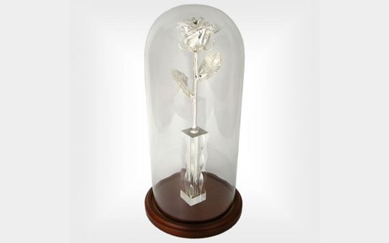 25th Anniversary 11-Inch Enchanted Silver Dipped Rose