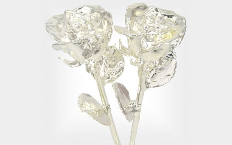 His and Her 11-Inch Sterling Silver Roses