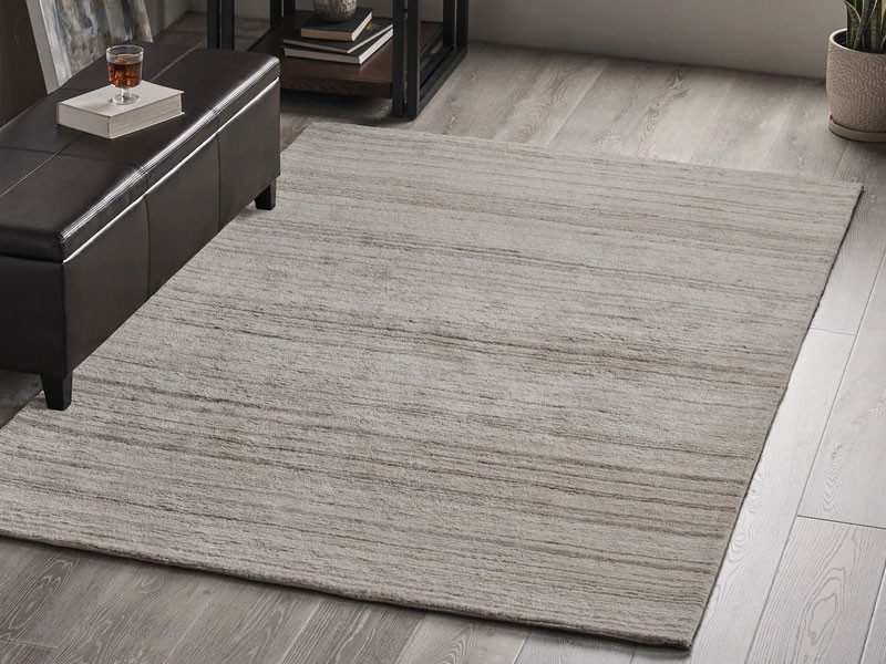 Anita Transitional Wool Area Rug