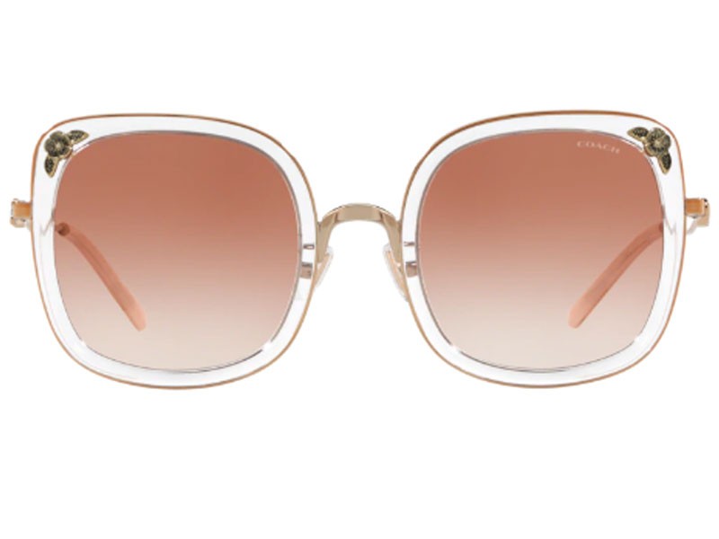 Coach Sunglasses For Women