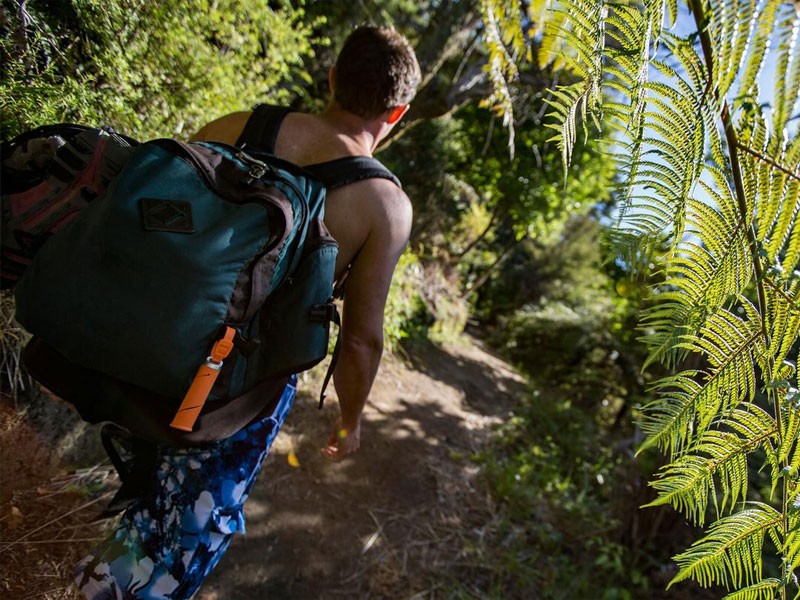 21 days Auckland to Wellington Tour Package