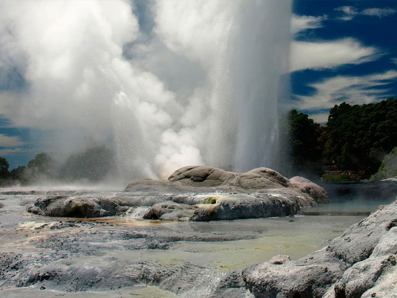 8 days Auckland to Auckland Tour Package