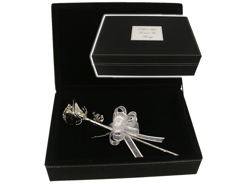 Platinum Dipped Rose & Personalized Leatherette Case