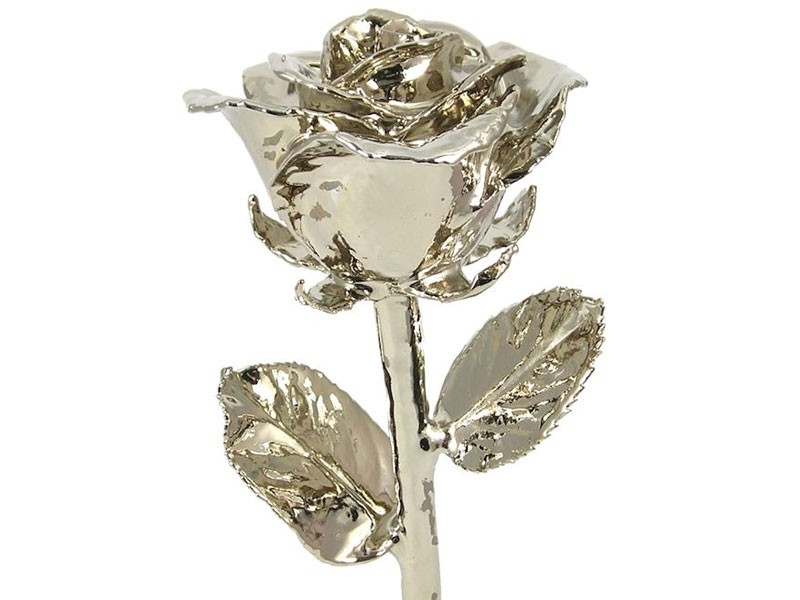 Platinum Dipped Rose