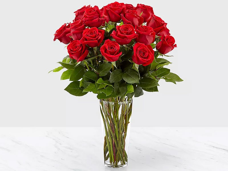 Long Stem Red Rose Bouquet