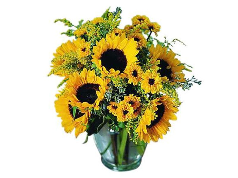 Sunflower Vase