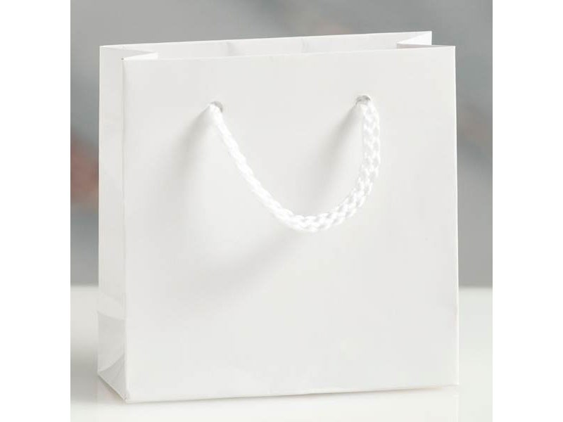 White Small Gift Bag