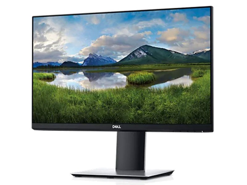 Dell 22 Monitor P2219H