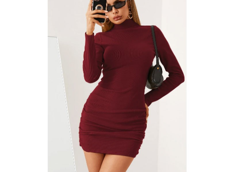 Yoins Basics Ruched Mock Neck Long Sleeves Mini Dress For Women