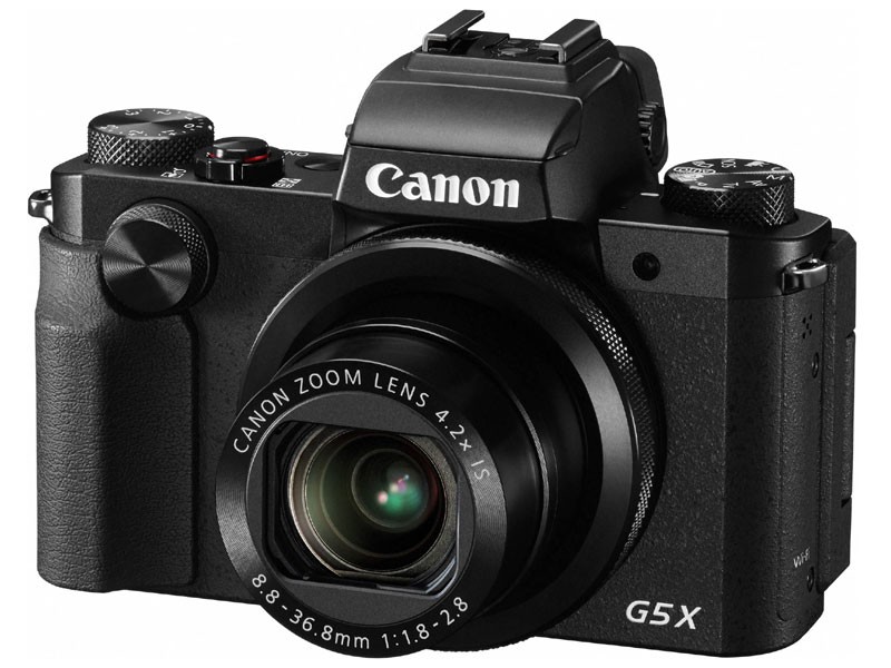 Canon 0510C001 PowerShot G5 20.2 Megapixel Bridge Camera