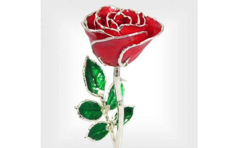 Sterling Silver Rose: 8-Inch Trimmed Red Rose