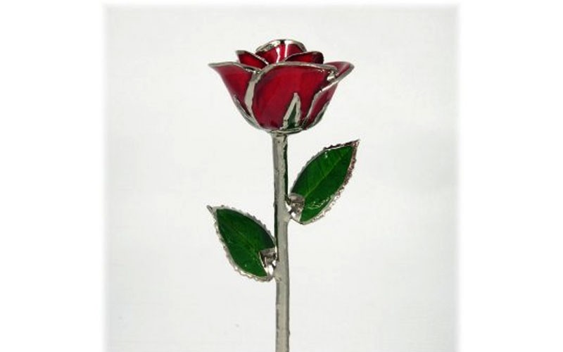 Silver Trimmed Rose: 11-Inch Red Rose