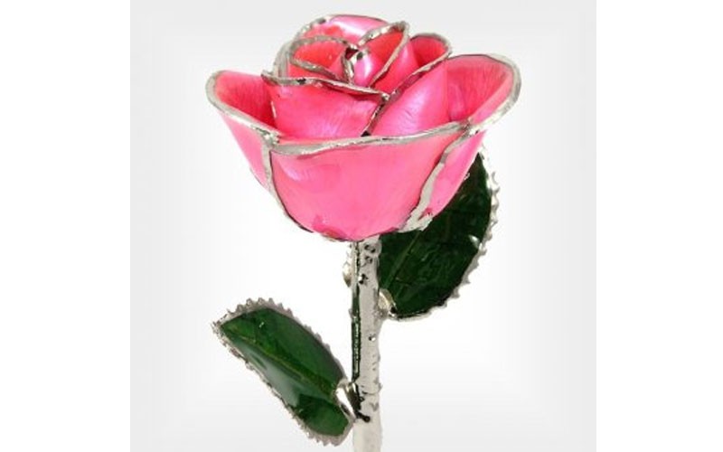Silver Trimmed Rose: 11-Inch Pink Rose